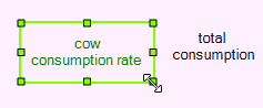 cows2.08
